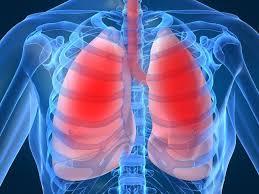 الصدر والجهاز التنفسى